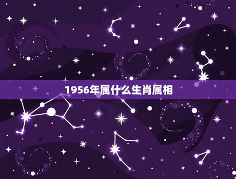 1956年生肖|1956年属什么生肖？